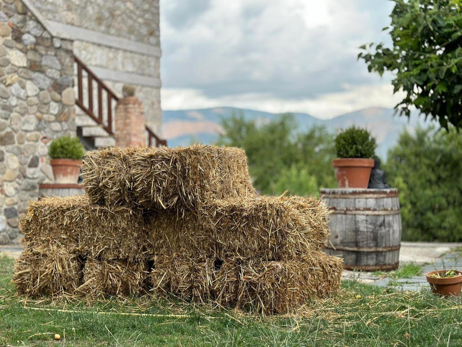 Bauernhof Azienda Agricola Il Querceto *