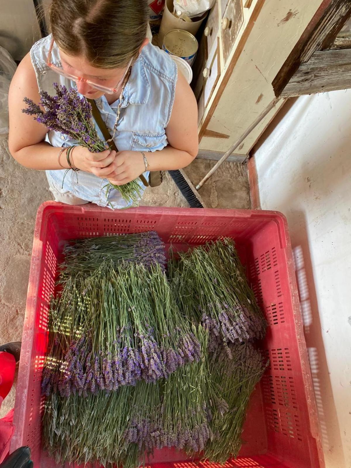 Azienda Agricola Il Querceto Bauernhof Marsicovetere