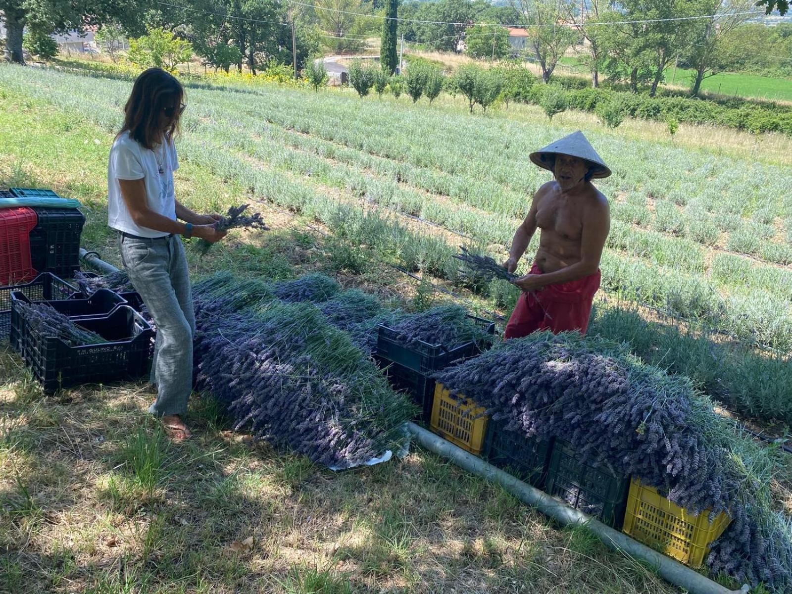 Azienda Agricola Il Querceto * Marsicovetere