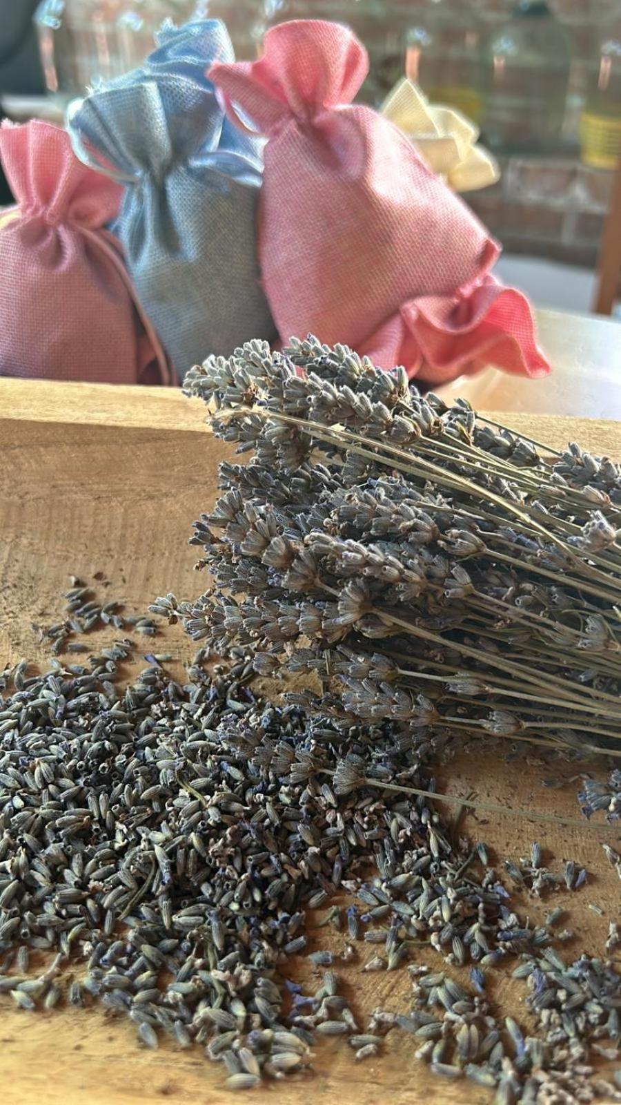 Azienda Agricola Il Querceto Bauernhof