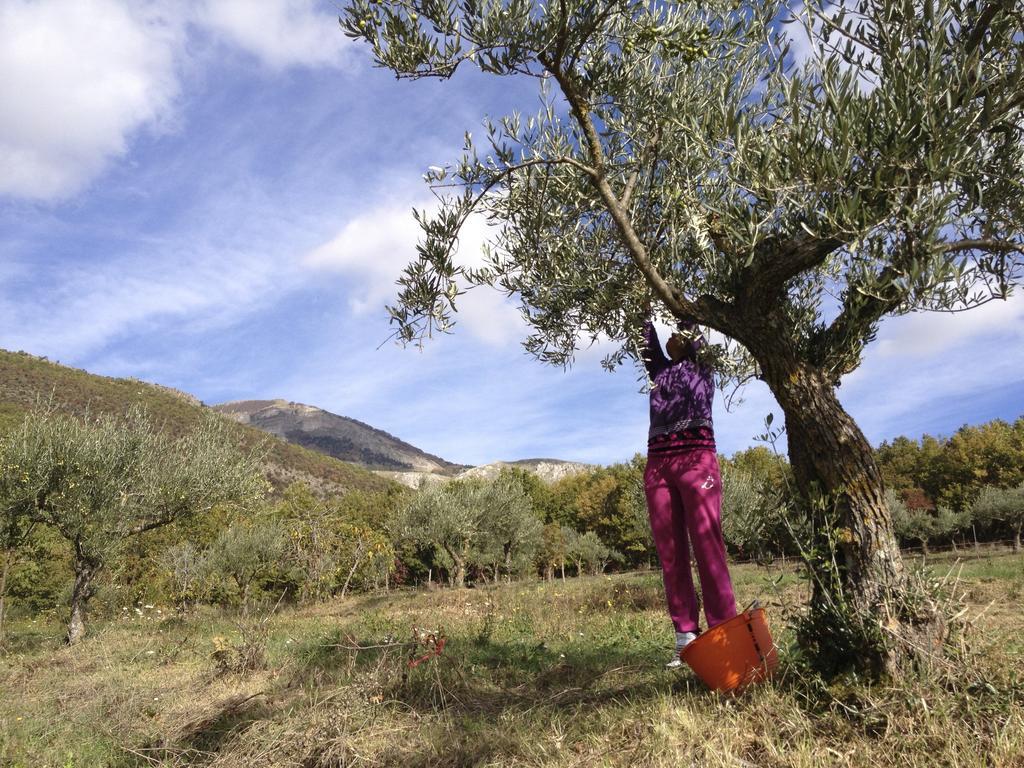 Bauernhof Azienda Agricola Il Querceto *