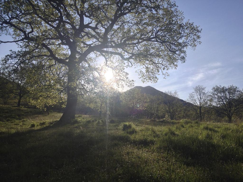 Bauernhof Azienda Agricola Il Querceto Marsicovetere