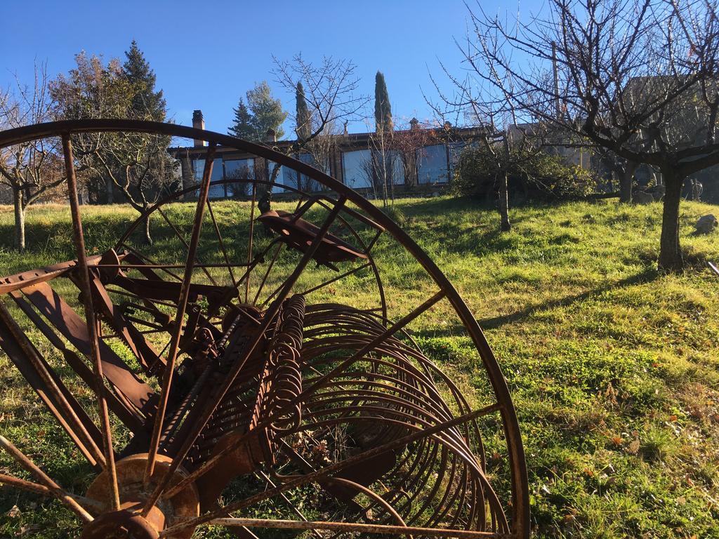 Azienda Agricola Il Querceto Bauernhof