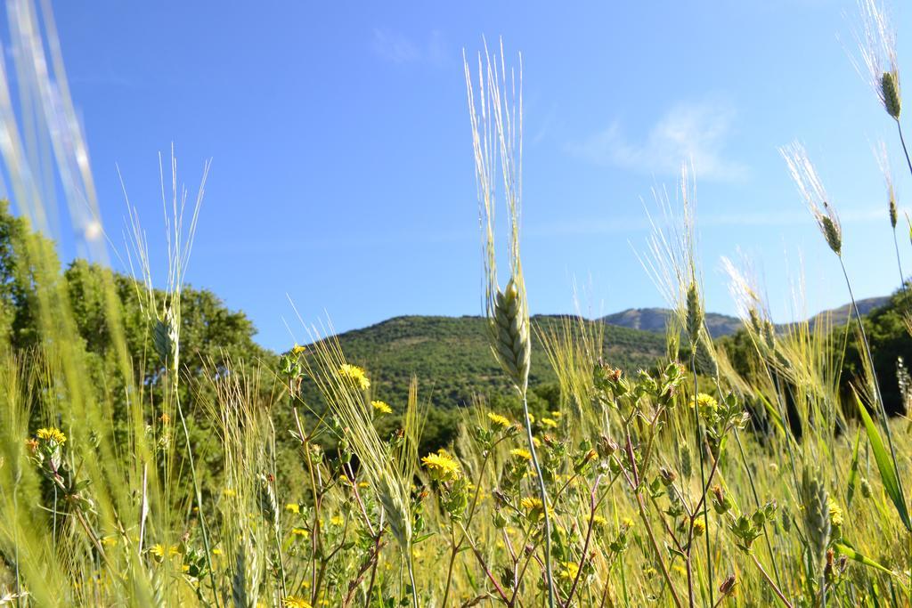 Azienda Agricola Il Querceto Bauernhof Marsicovetere