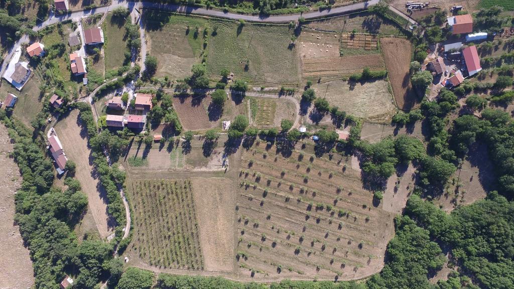 Azienda Agricola Il Querceto Bauernhof *