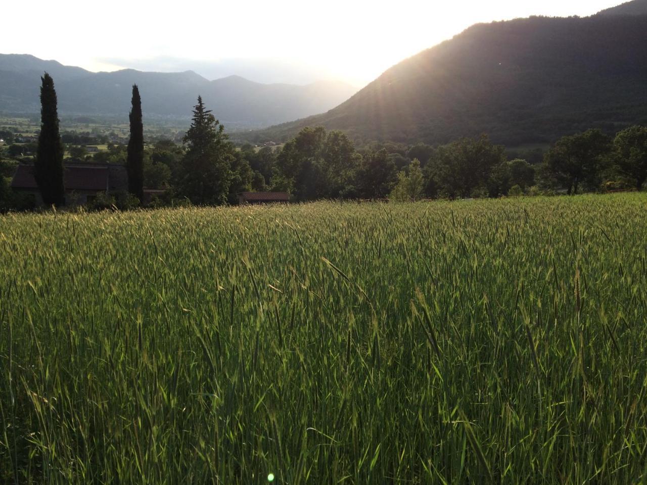 Bauernhof Azienda Agricola Il Querceto *