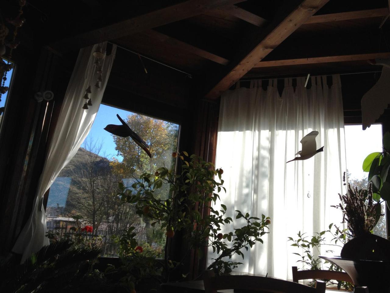 Bauernhof Azienda Agricola Il Querceto Marsicovetere