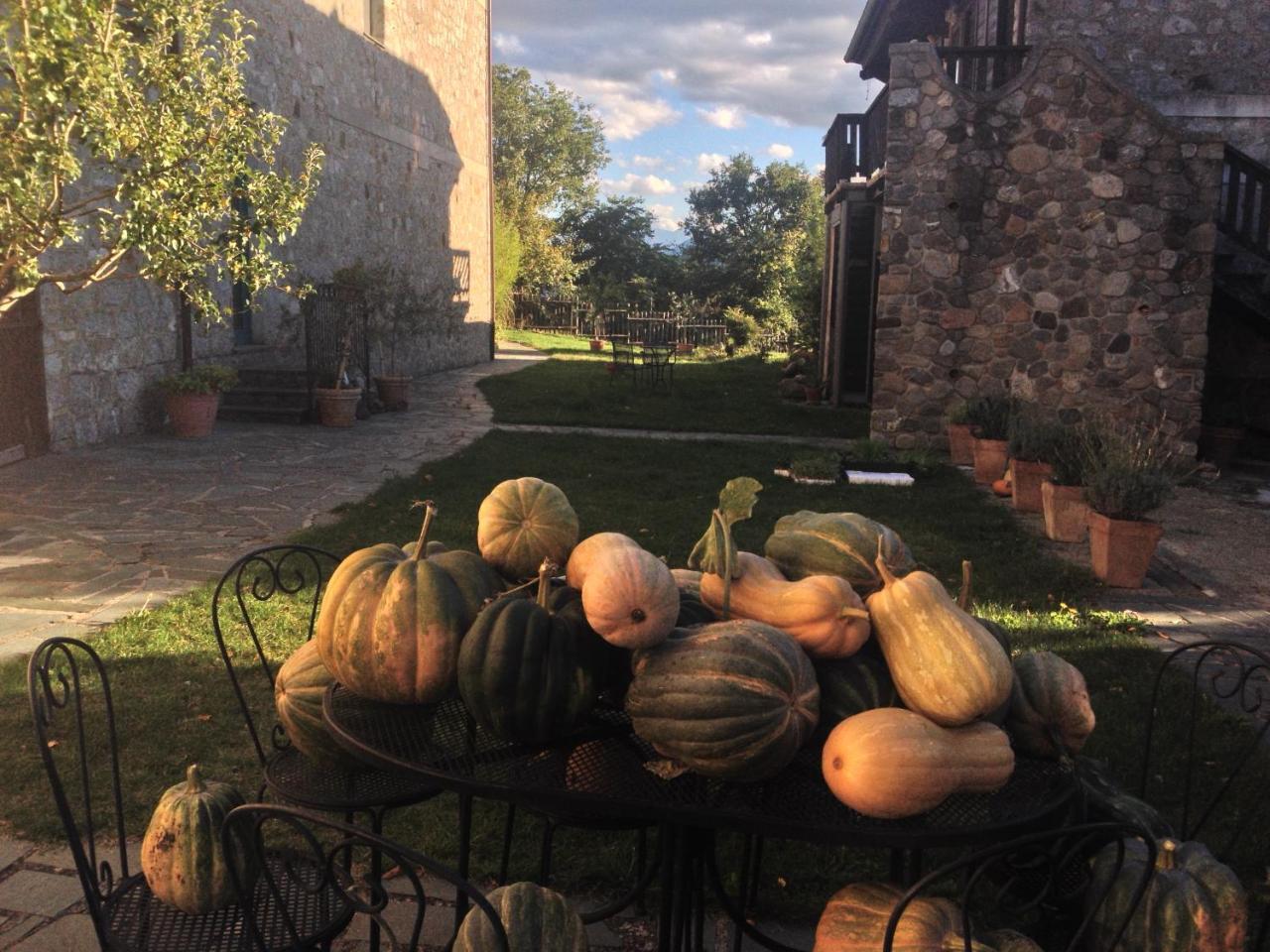Azienda Agricola Il Querceto Marsicovetere